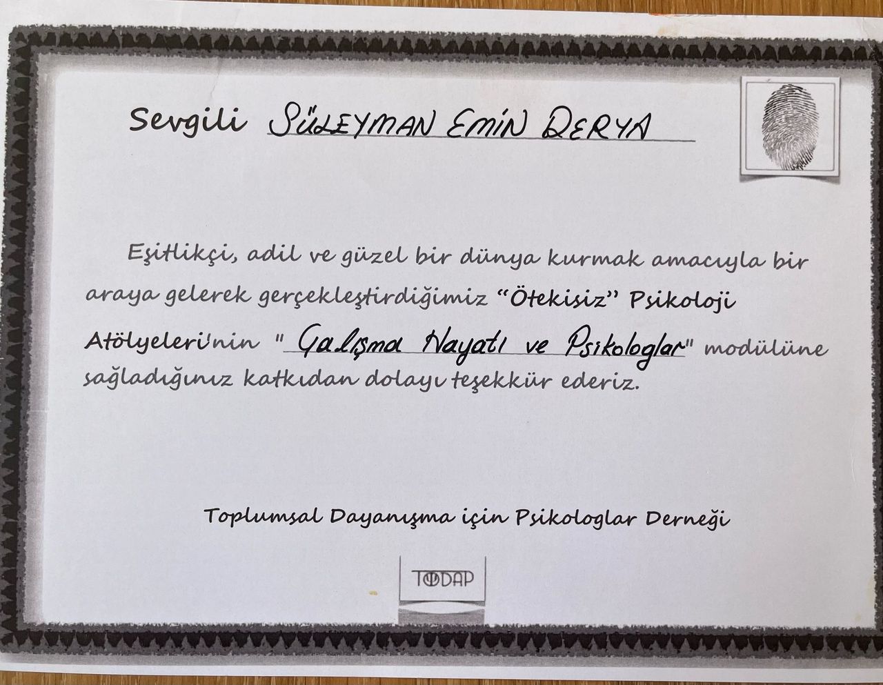 Süleyman Emin Derya-4