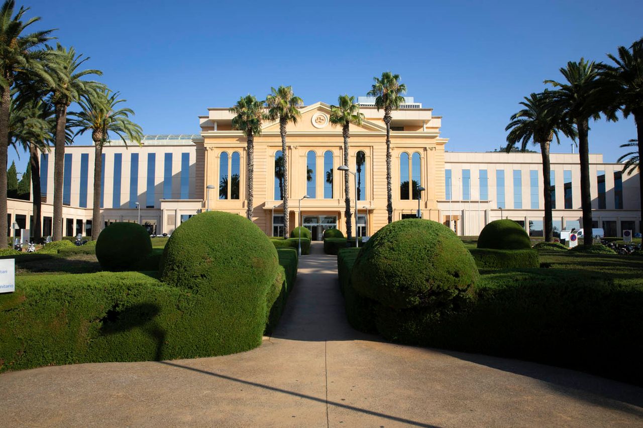 Federico Hernández Alfaro-14