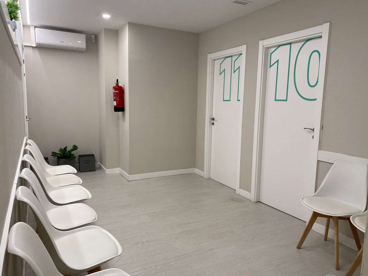 María Concepción Arco Agüi-1