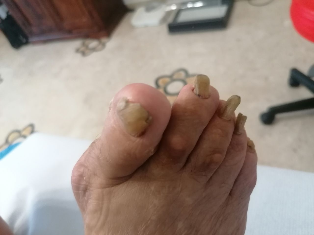 Kassandra Nicolosi-250