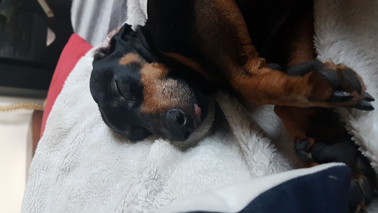 Katarzyna Krzyżanowska-2