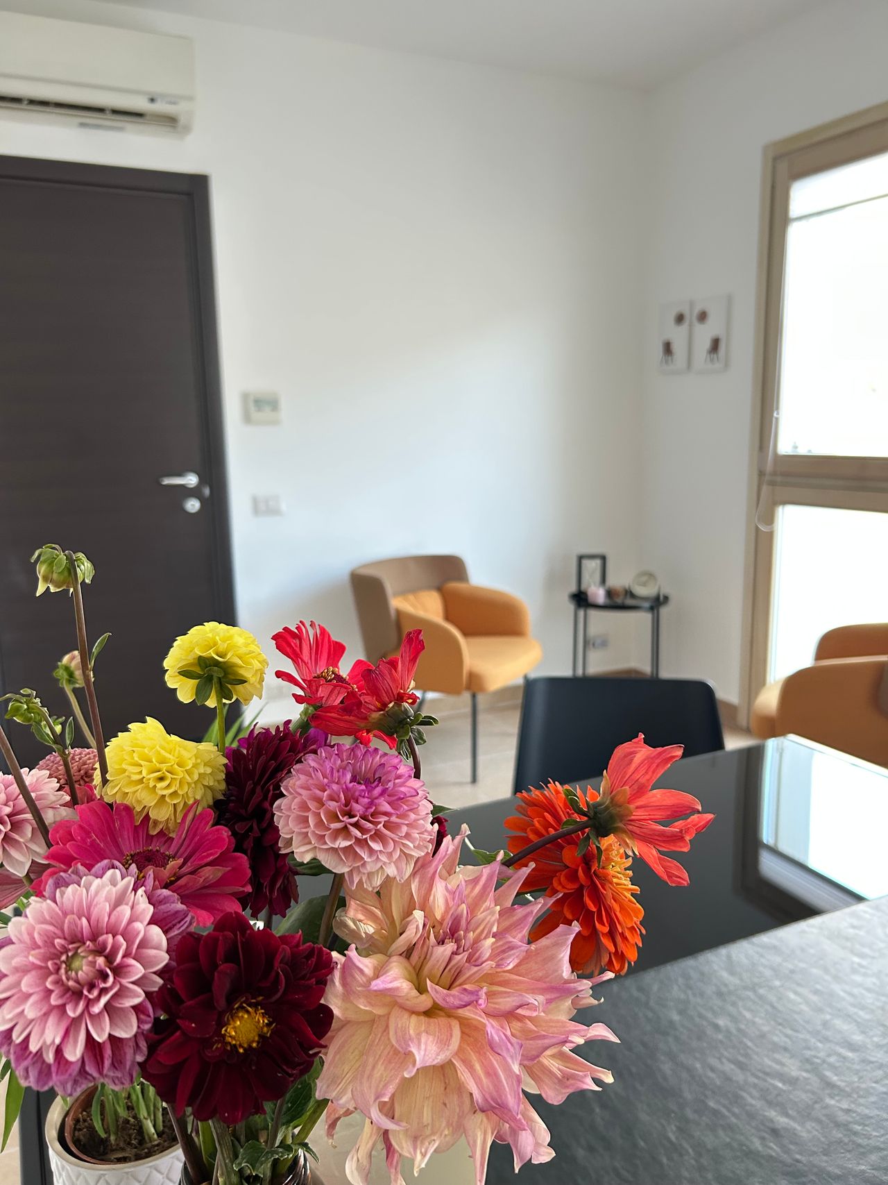 Nicoletta Agostinelli-3