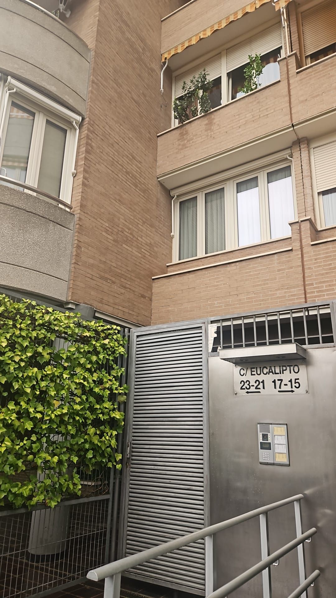 Jose Gimillo Asensio-3