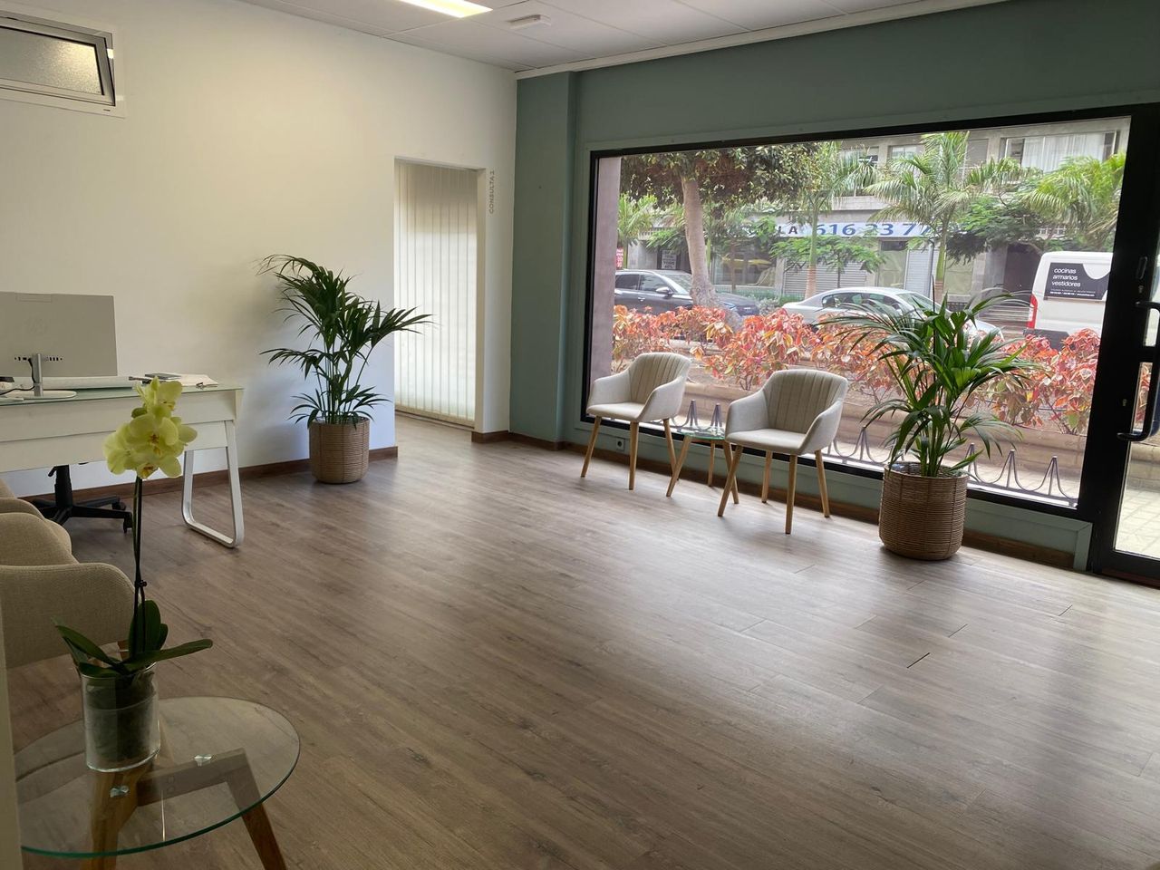 Laura Suarez Castellano-1