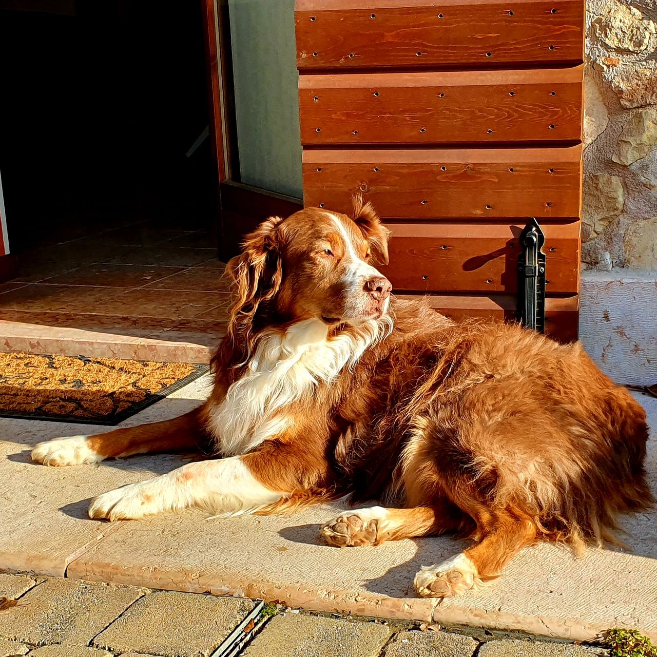 Francesca Morosini-7