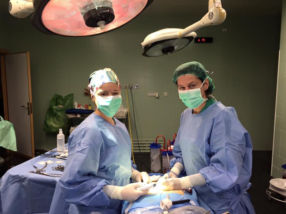 Jose Carlos Silvestre Navarro-4