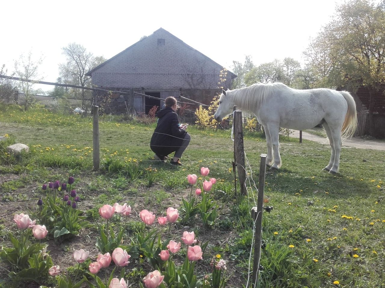 Berenika Orłowska-4