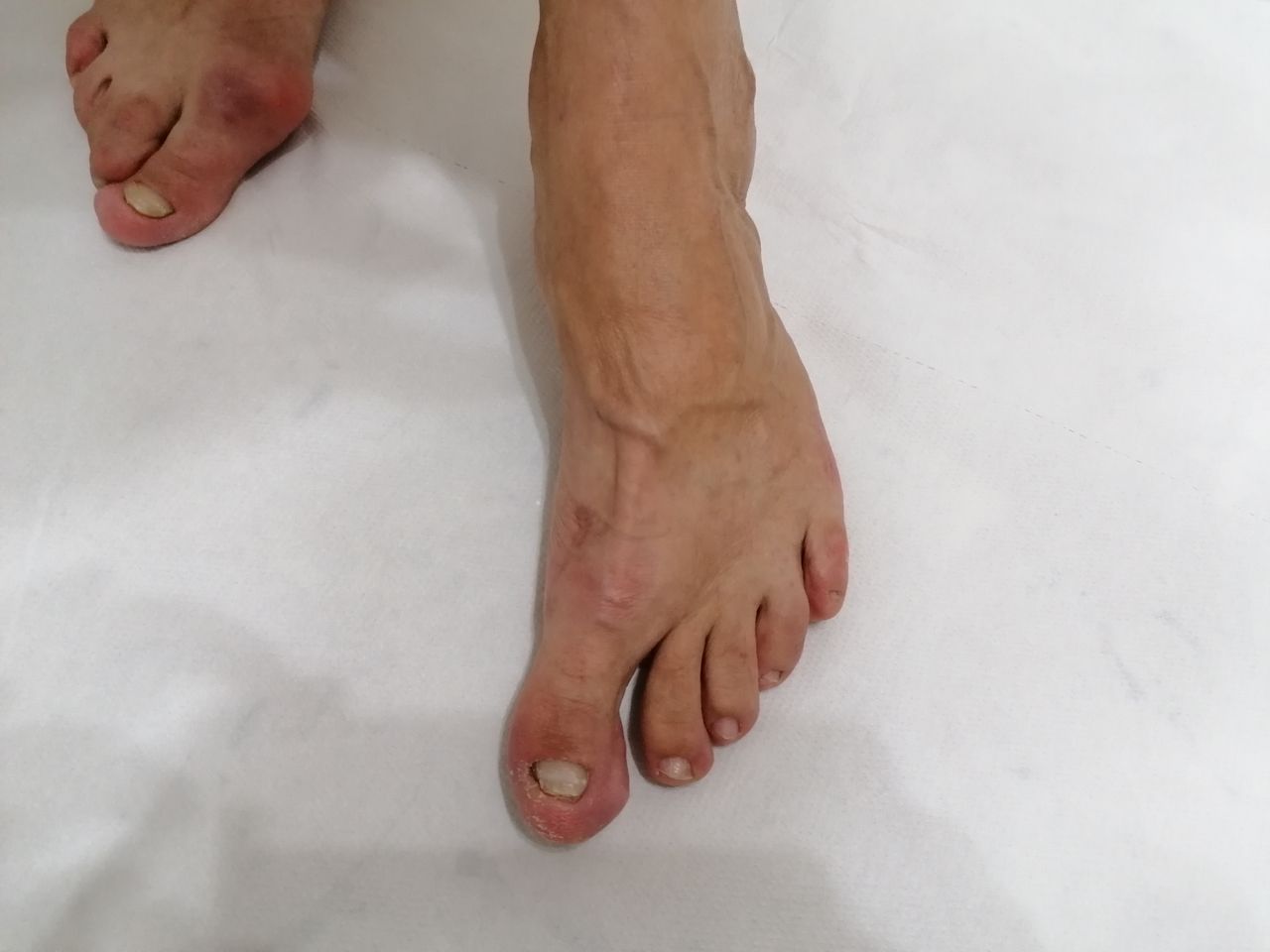 Kassandra Nicolosi-318