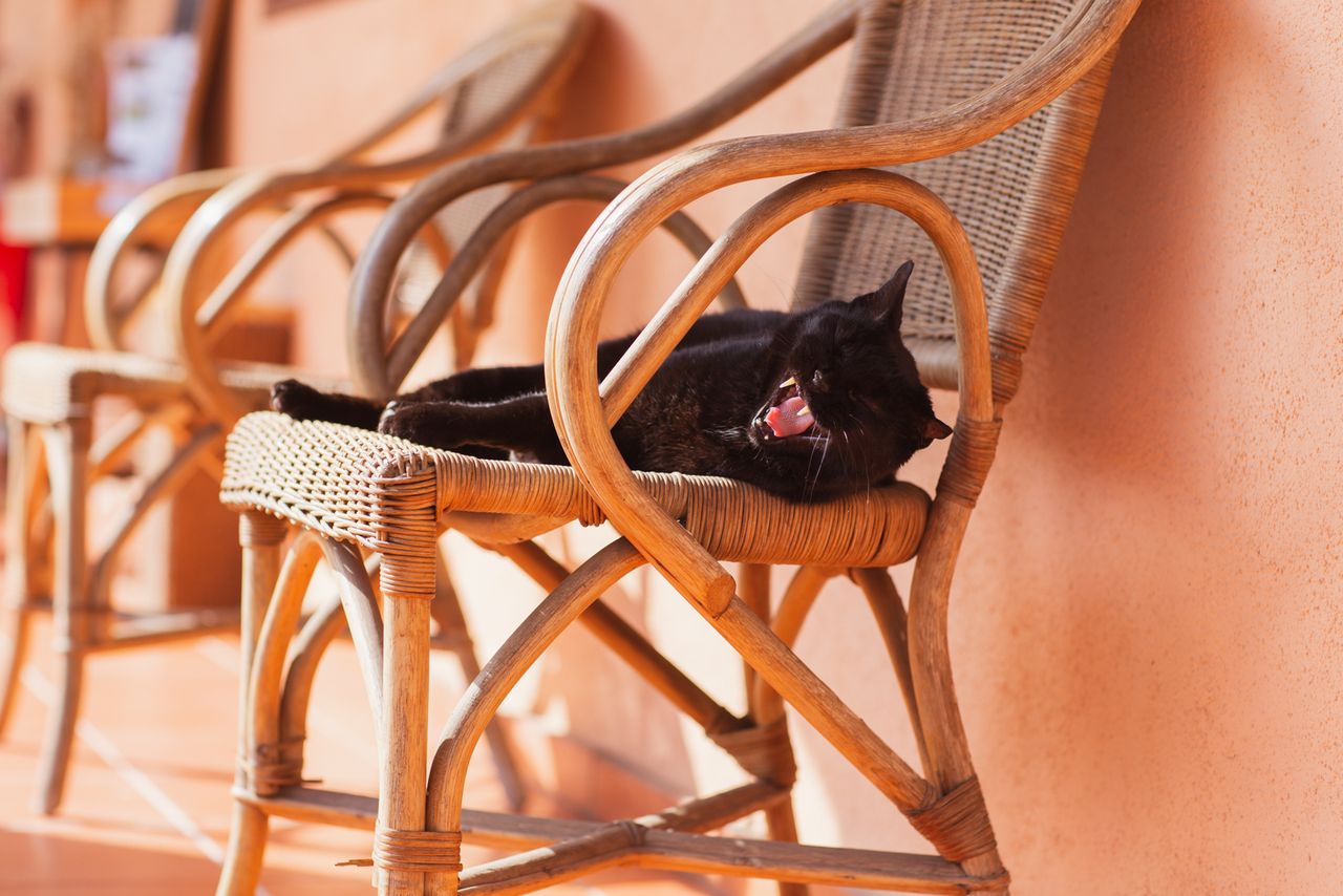 Clara Pey Pascual-19