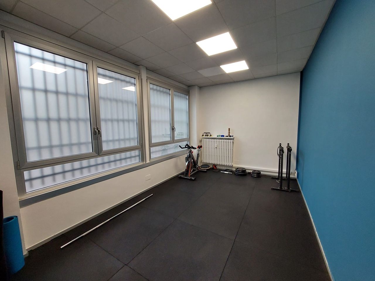 Alba Veronica Serpillo-2