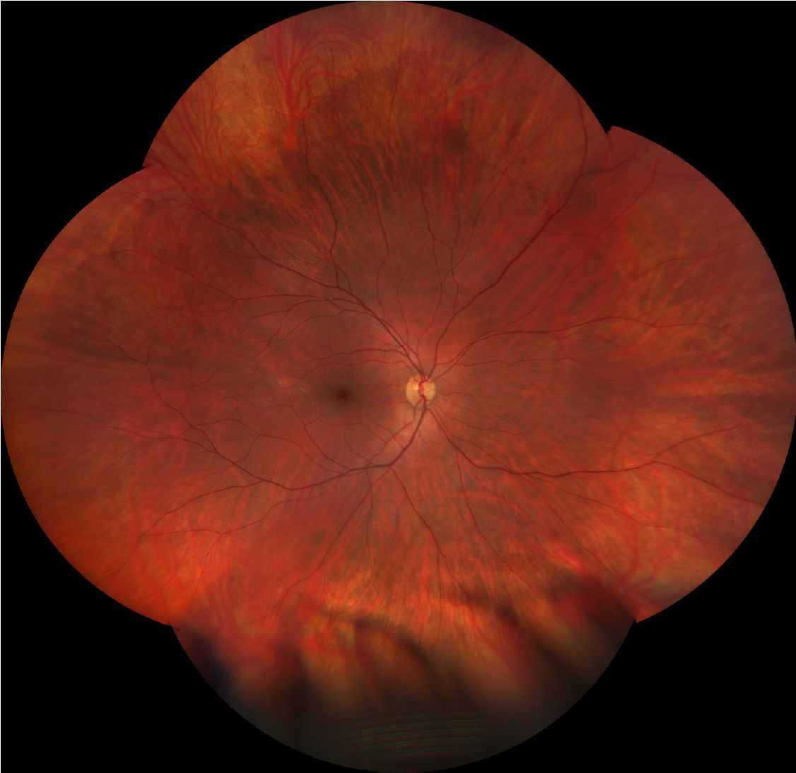 Dr. Med. Univ. Florian Auerbach Febo, Mhba-12