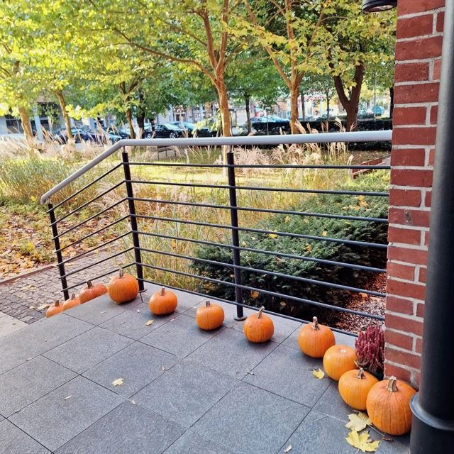 Grażyna Wolińska-Maciąg-3