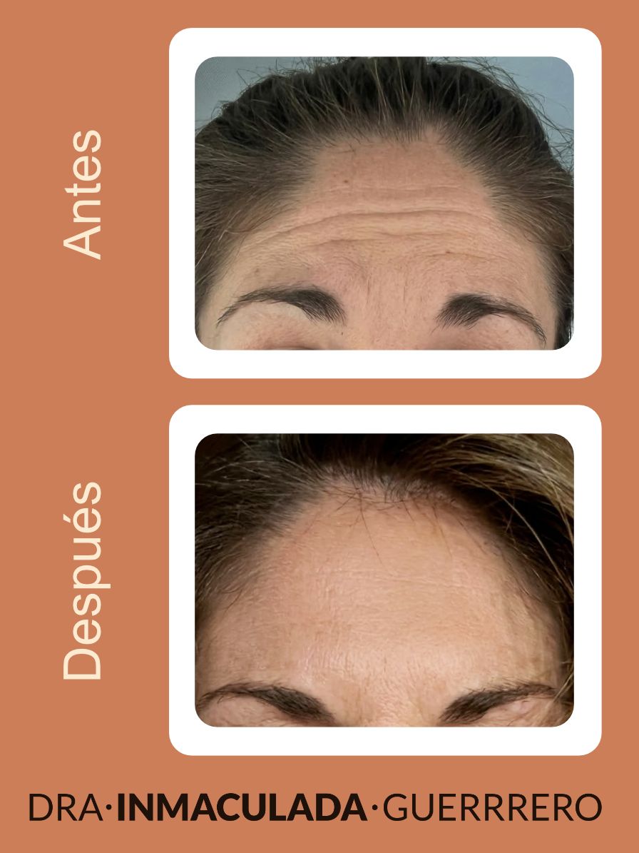 Inmaculada Guerrero Fernández De Alba-1