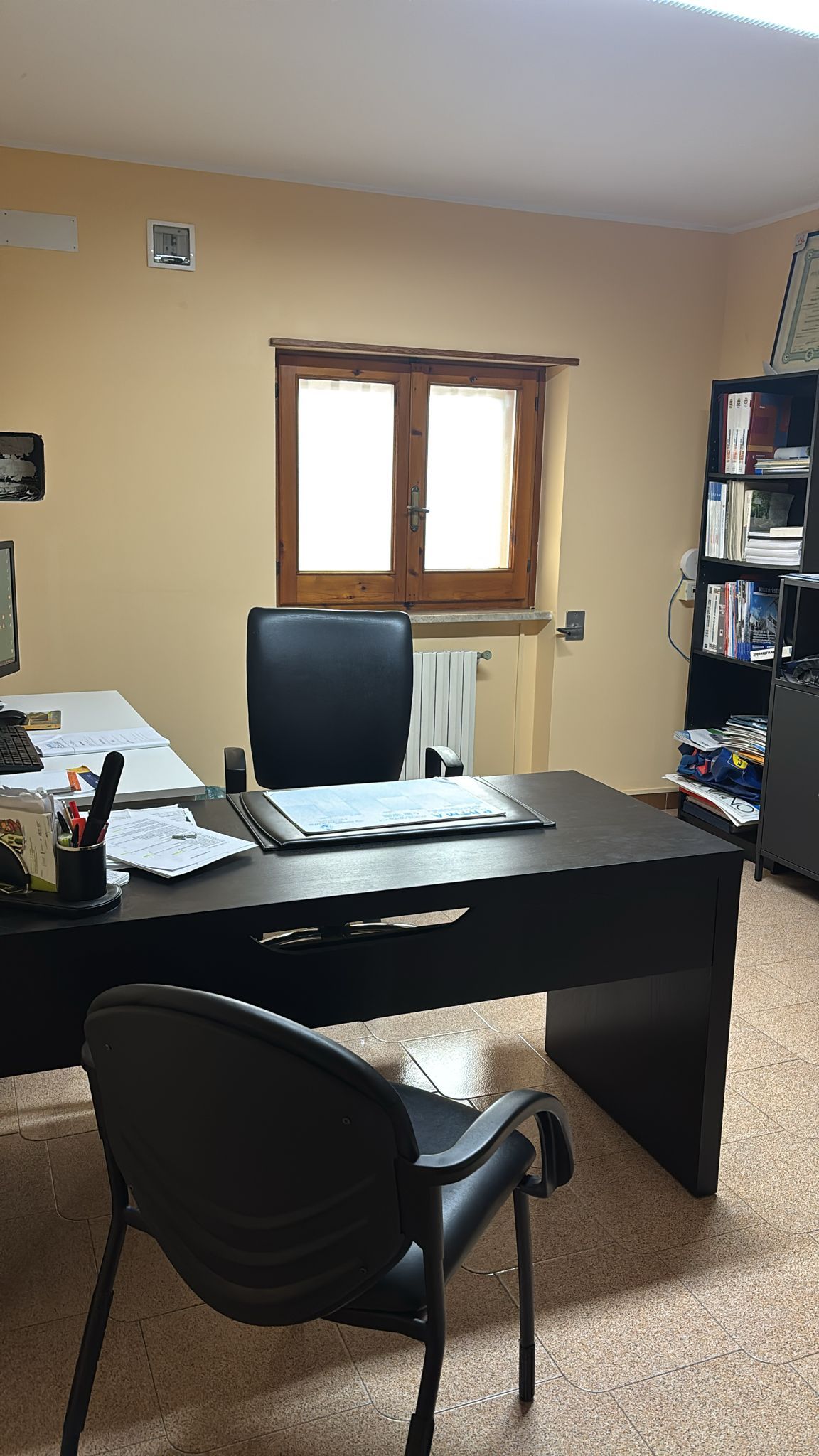 Marialma Immacolata Neglia-0