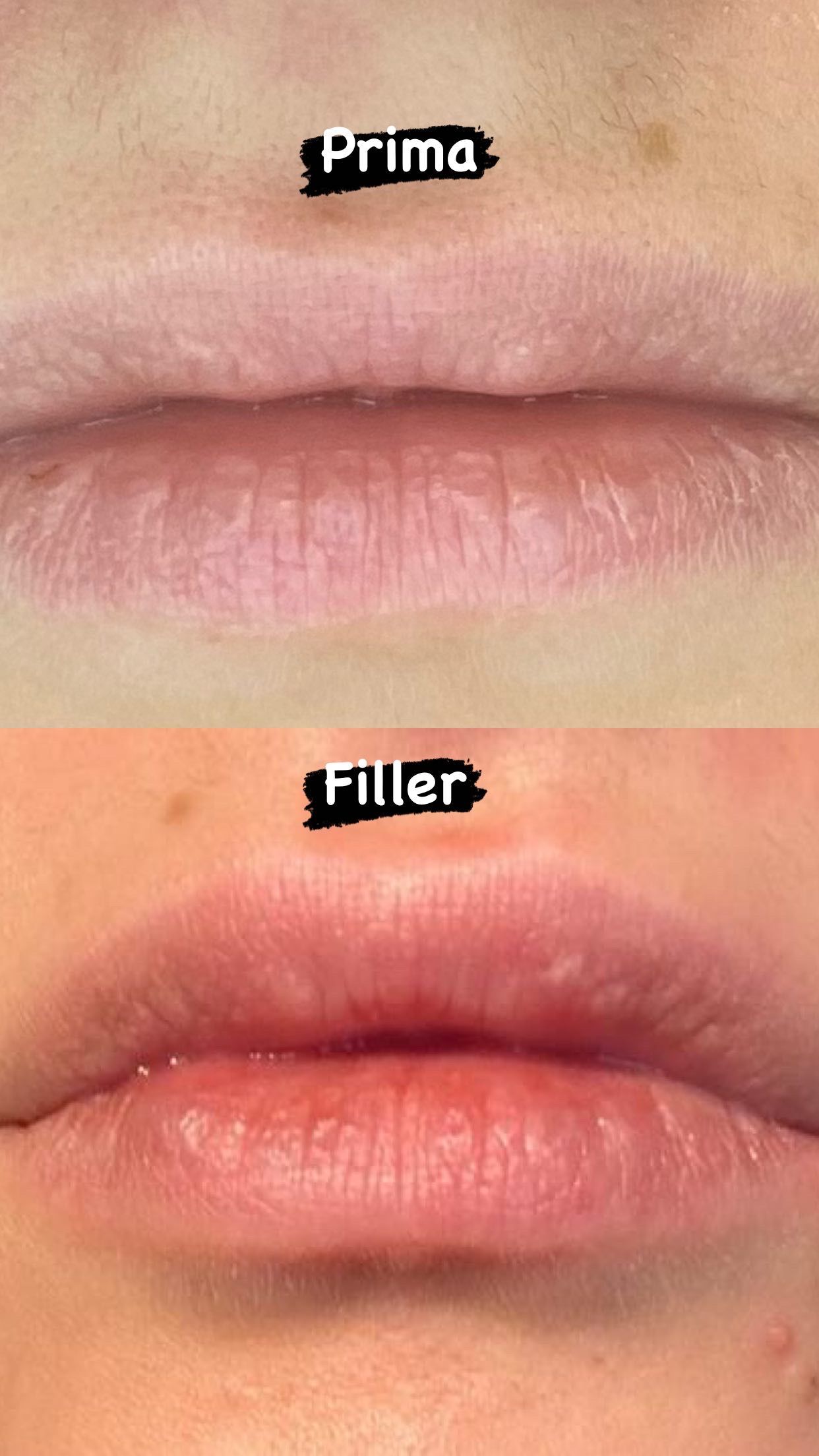 Francesca Muggiano-20