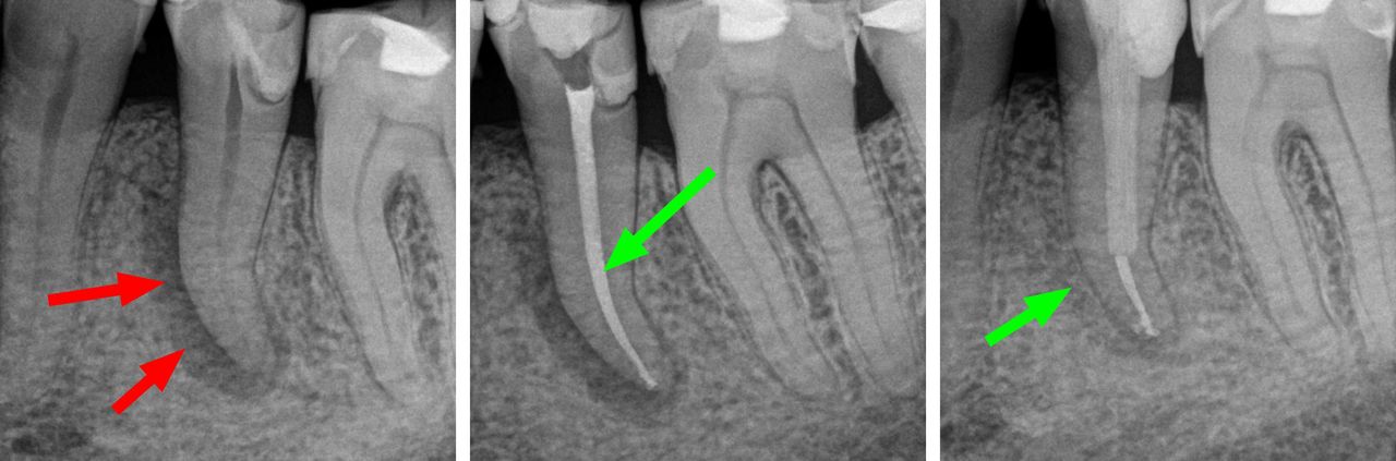 Krzysztof Gończowski-28