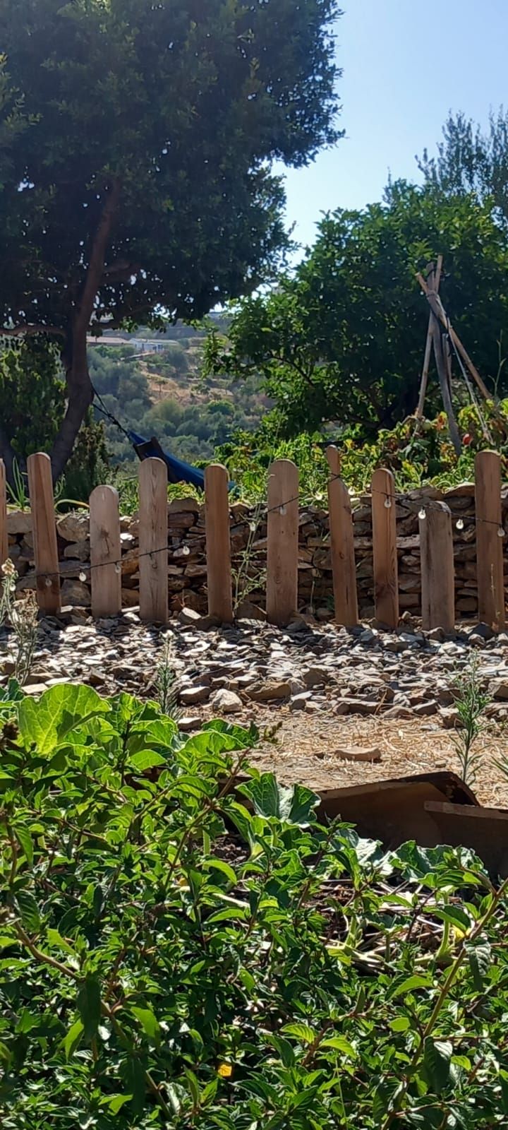 Celia García García-4