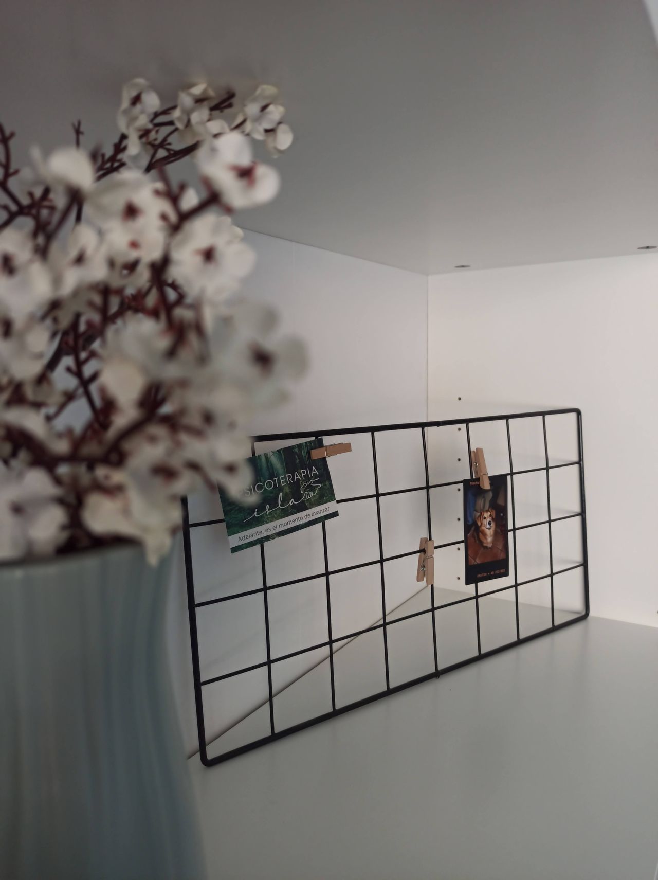 Patricia Gutiérrez Isla-36