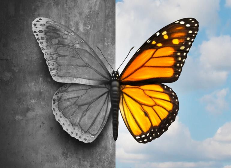 Verena Elisa Gomiero-8