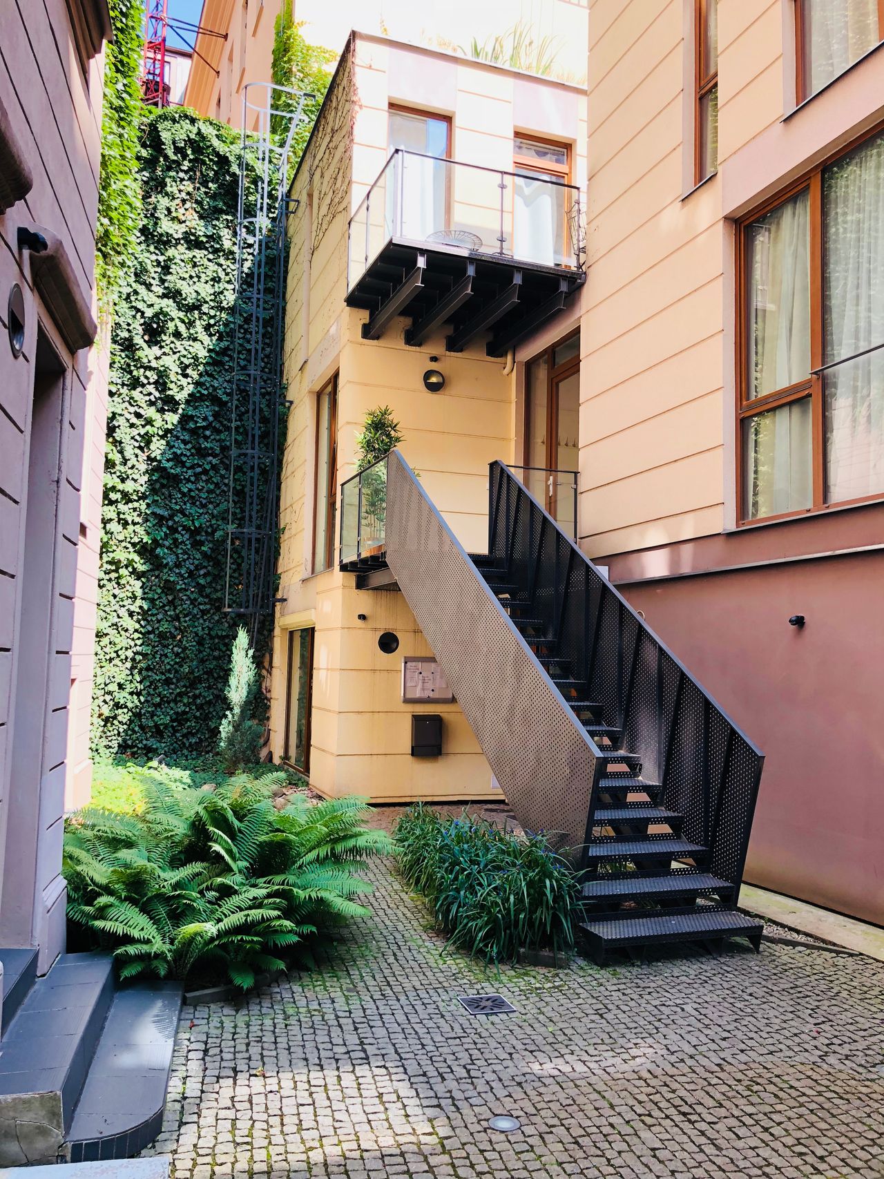 Terra Kasal, M. A.-10