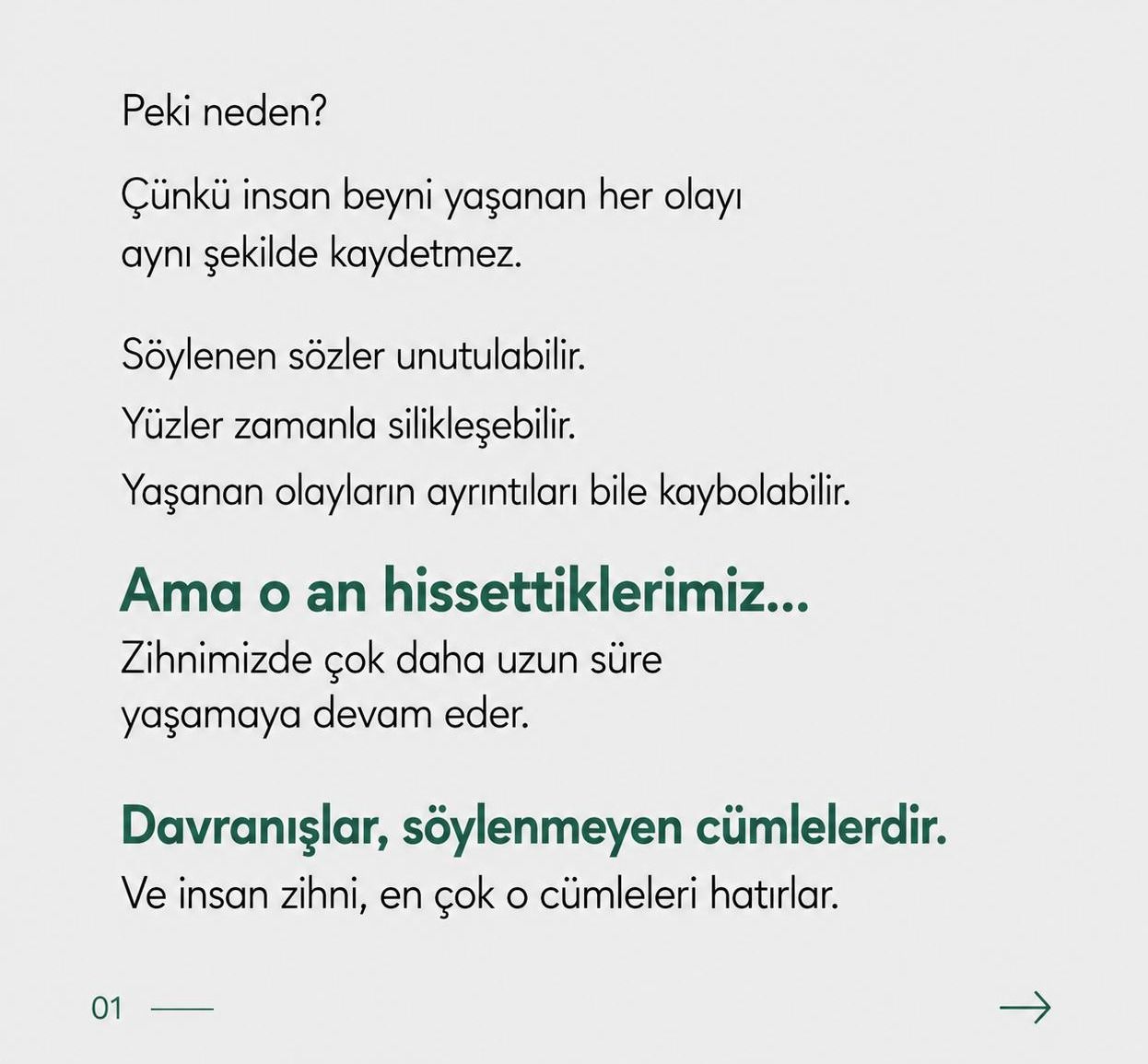 Derya Gülersoy-3