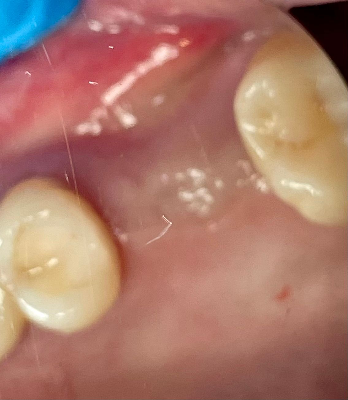 Cezary Pogorzelski-25