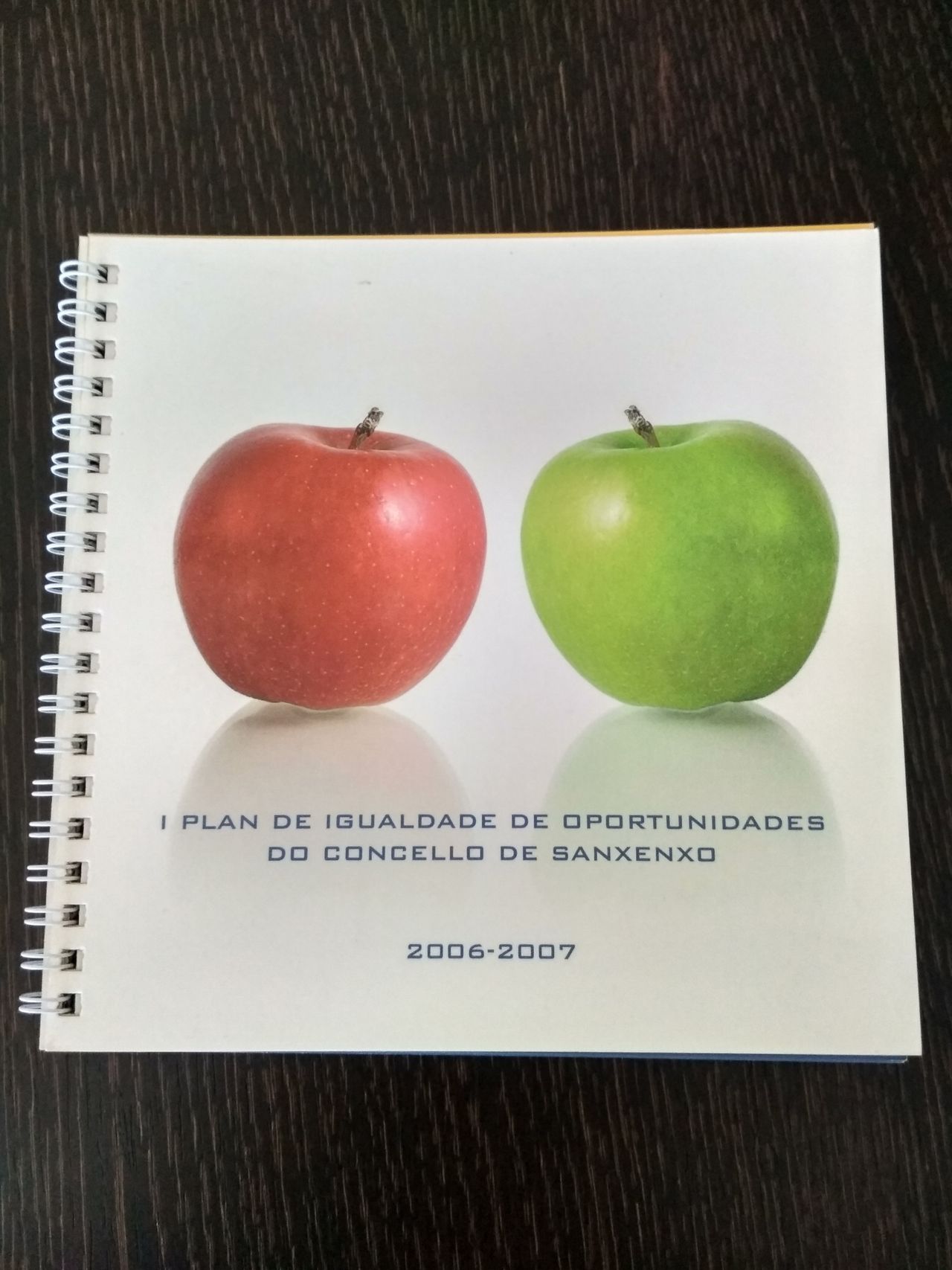 Beatriz Millán Coira-8