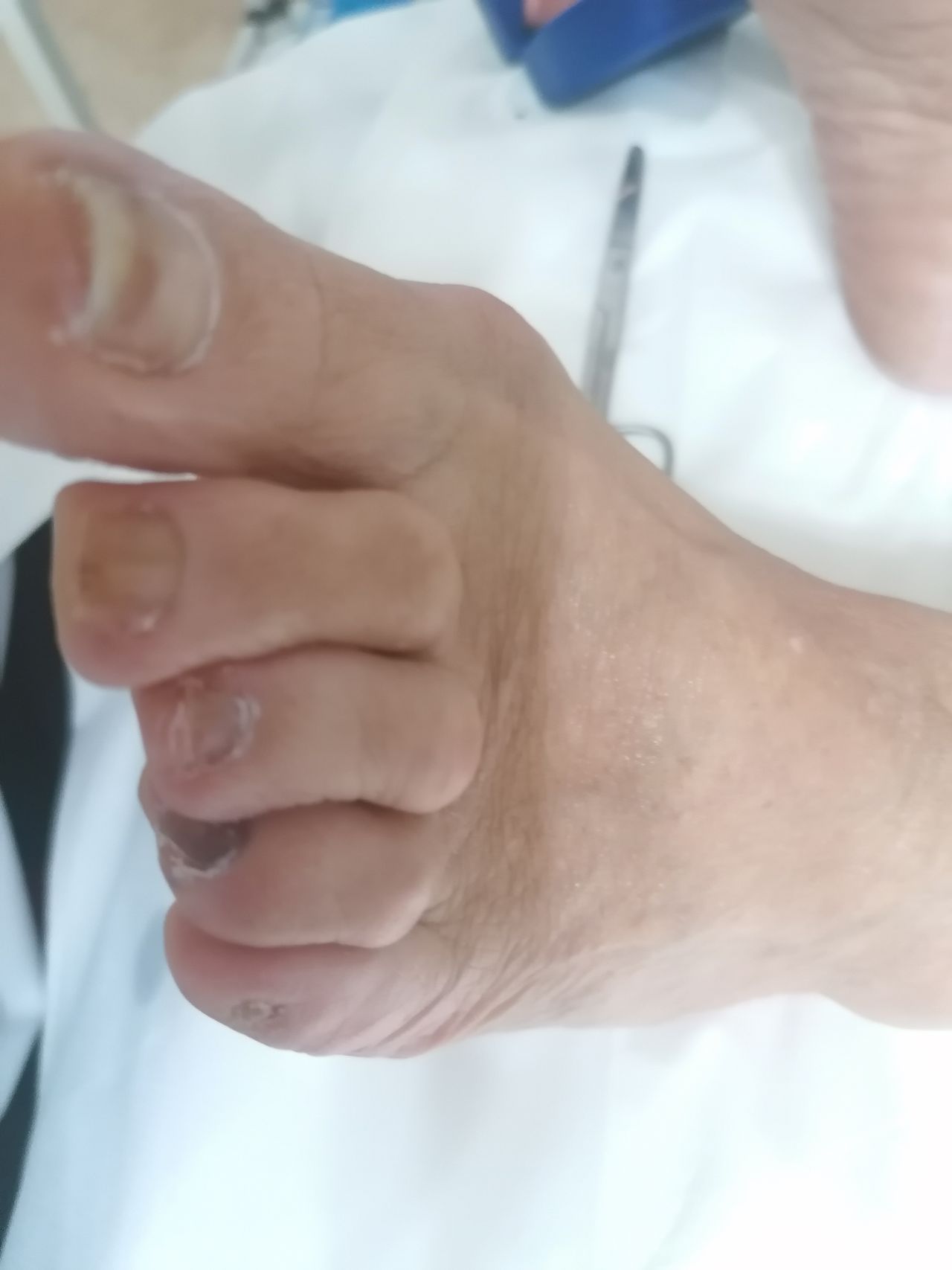 Kassandra Nicolosi-196