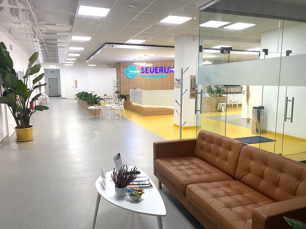 Aleksandra Niemiec-Górska-2