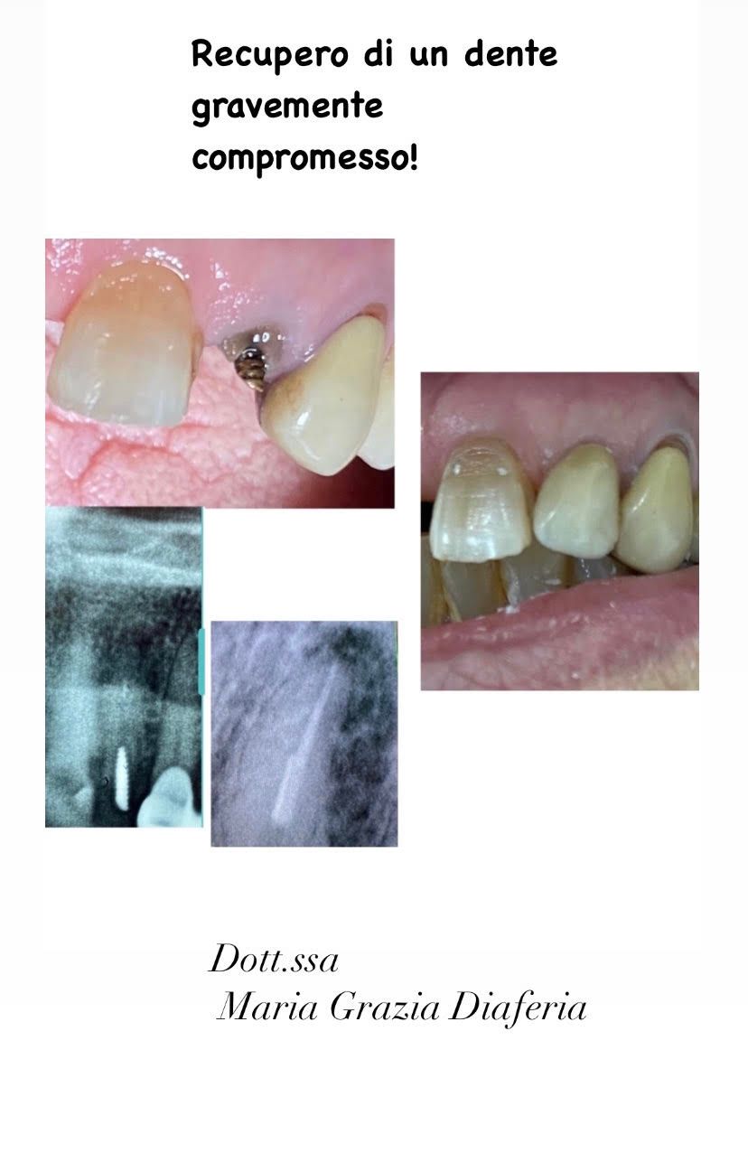 Maria Grazia Diaferia-26