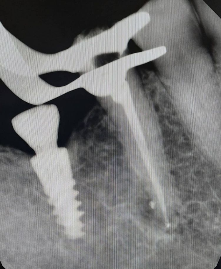 Sabina Gronczyńska-4