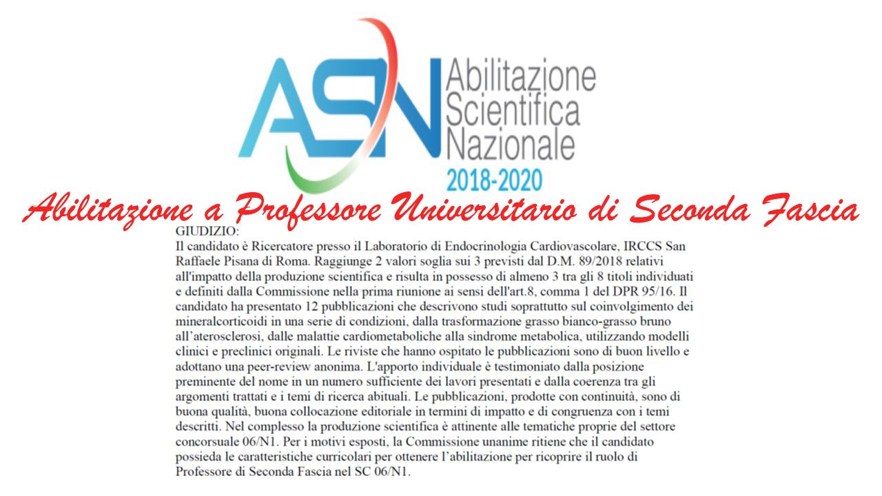 Vincenzo Marzolla-11