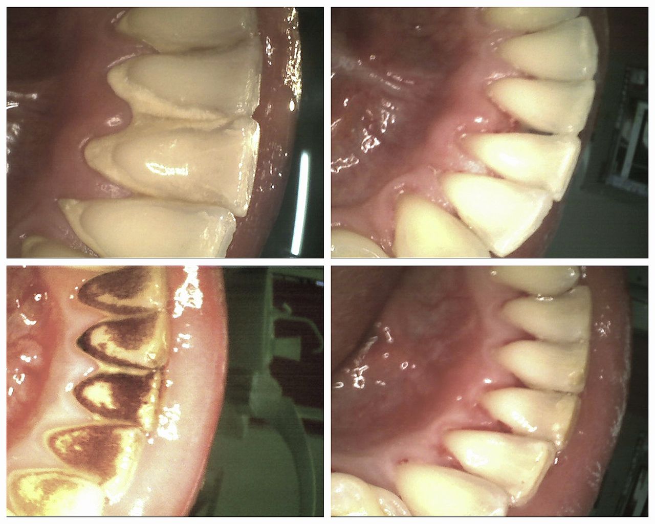 Katarzyna  Kmieć -7