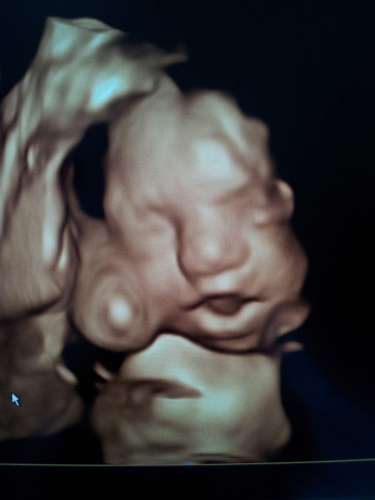 Şahver Melek Avcı Orhun-0