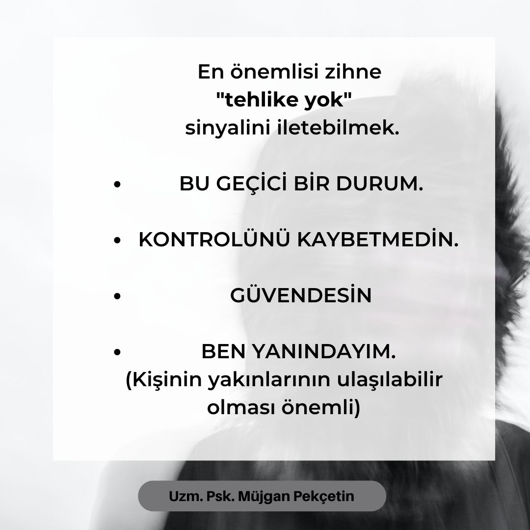 Müjgan Pekçetin-13