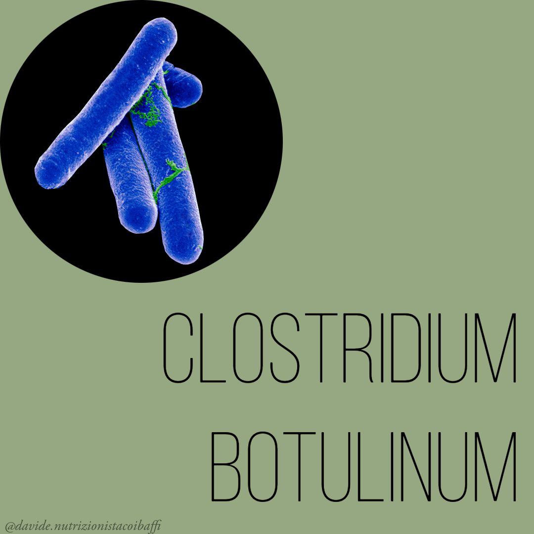 Davide Giammarioli-3