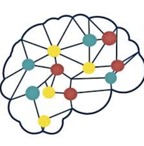 Neuromodulación No Invasiva-0
