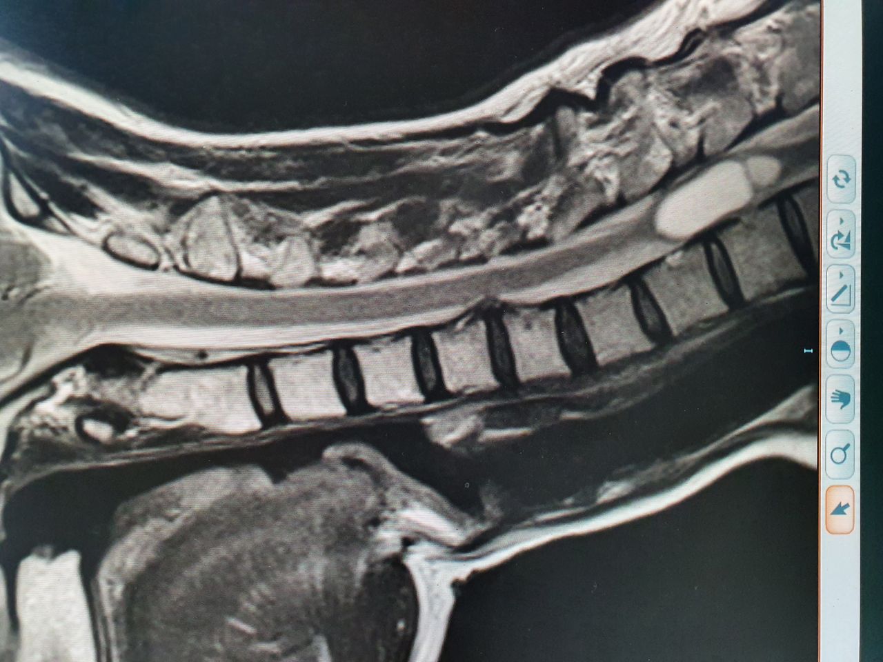 Luis De Miguel Pueyo-0