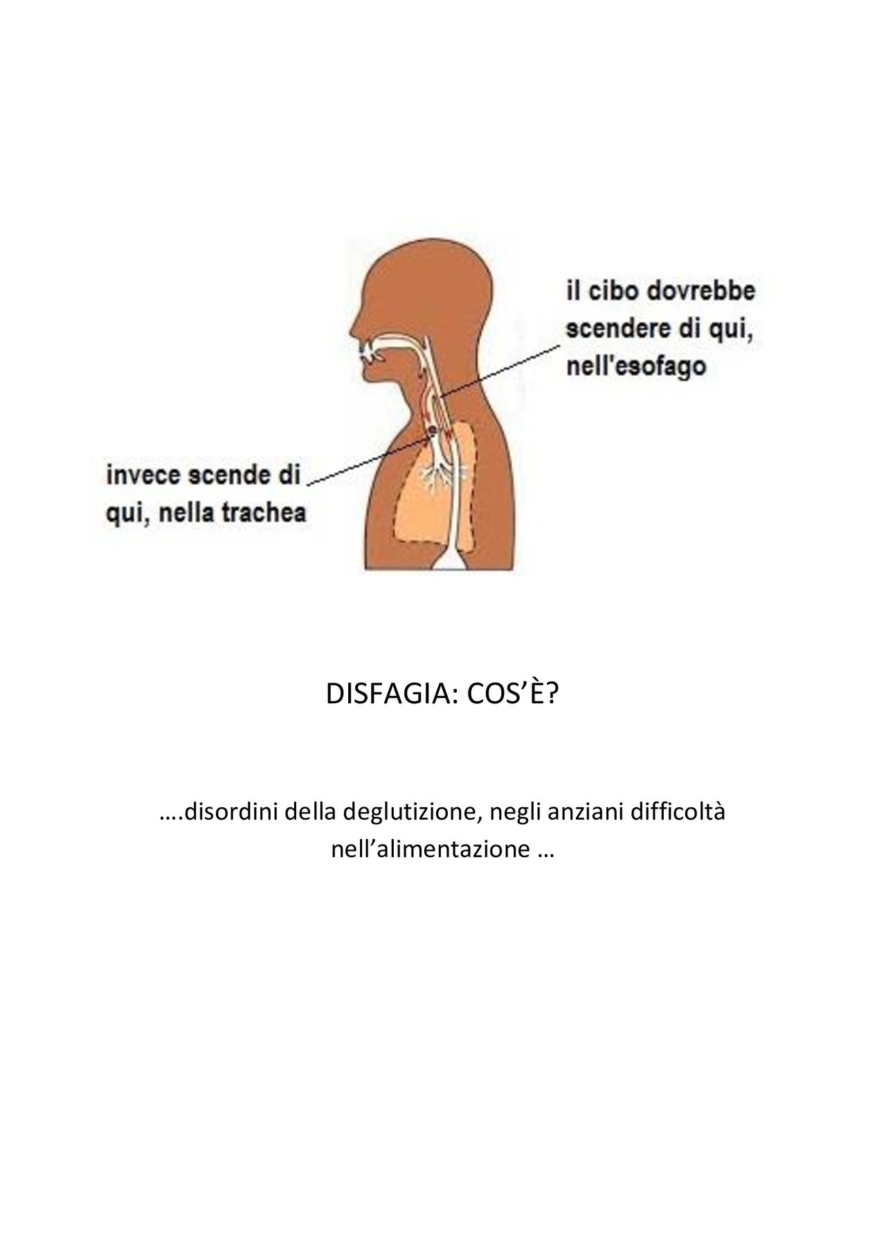 Vincenza Bellantuono-4