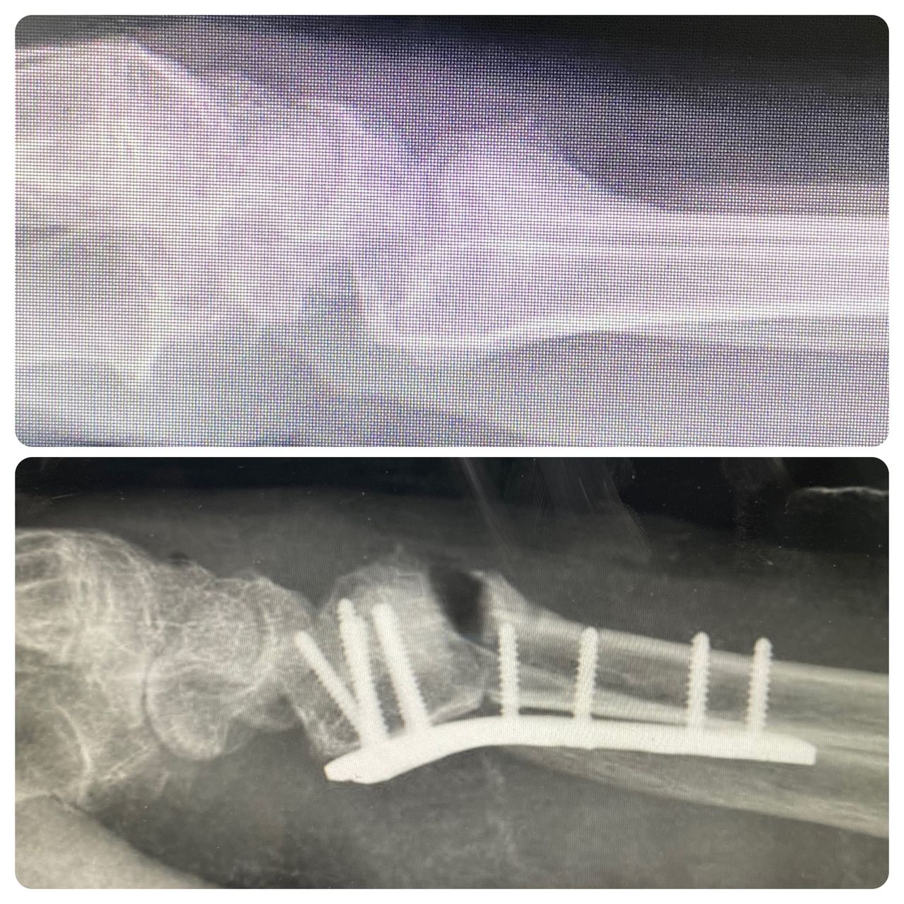 Pedro Sánchez Angulo-9