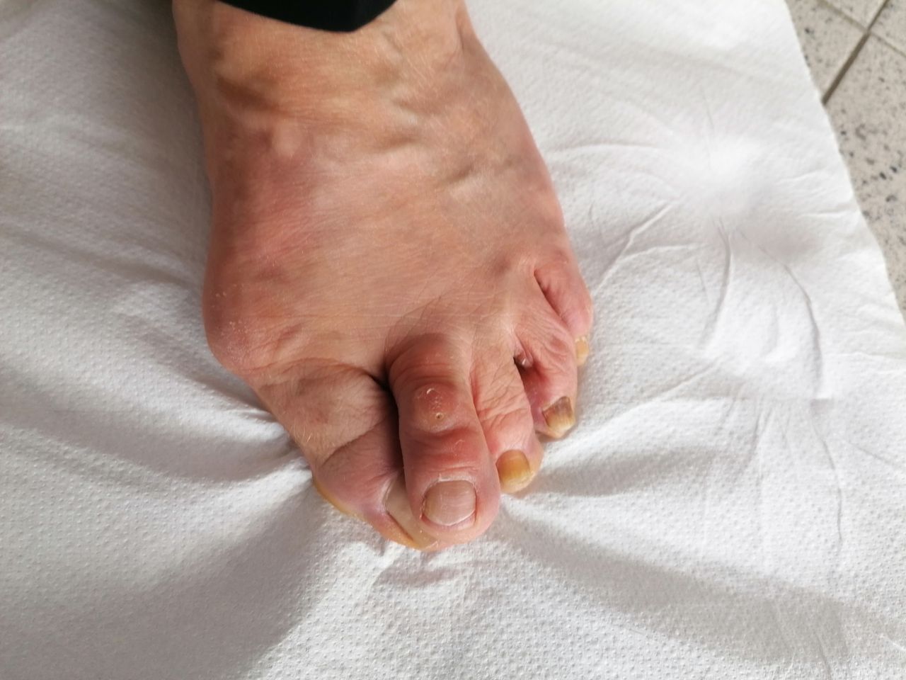 Kassandra Nicolosi-310