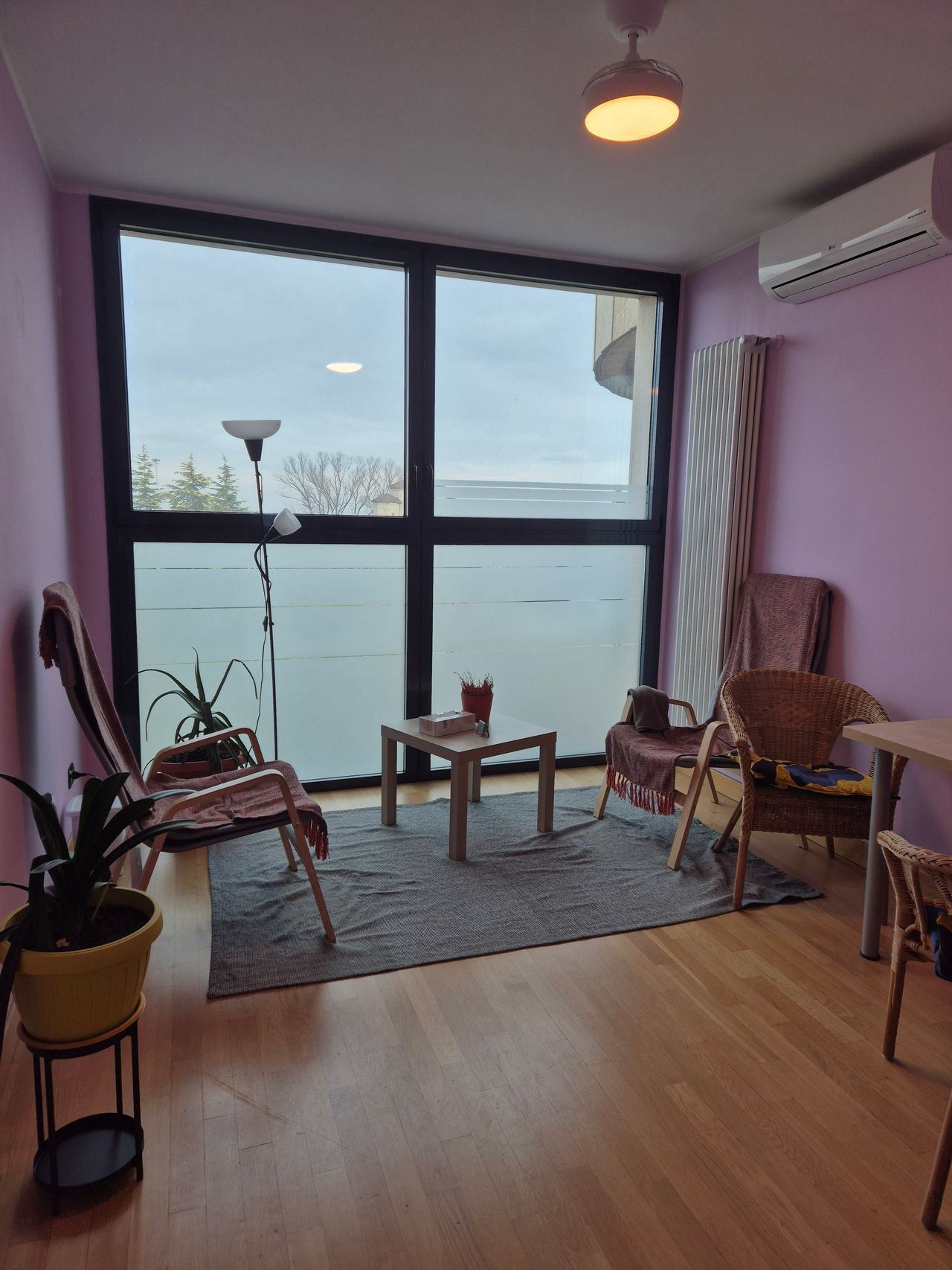 Mariana Vilma Colman-1