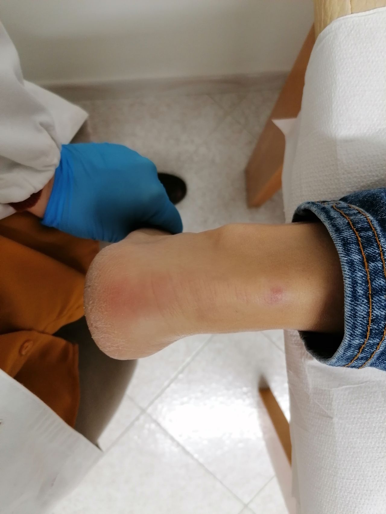 Kassandra Nicolosi-126