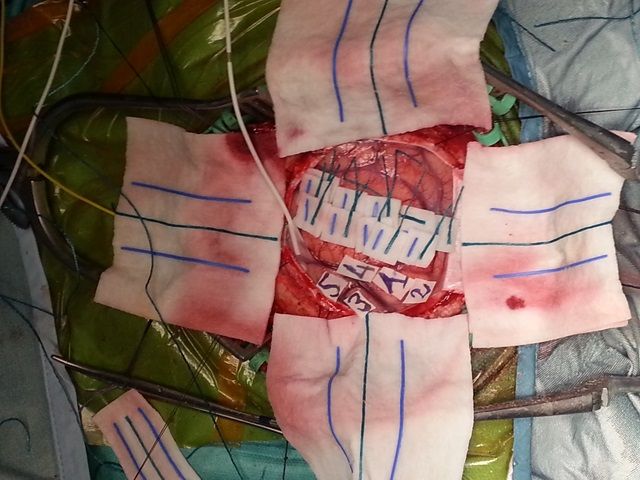 Giancarlo D'andrea-4