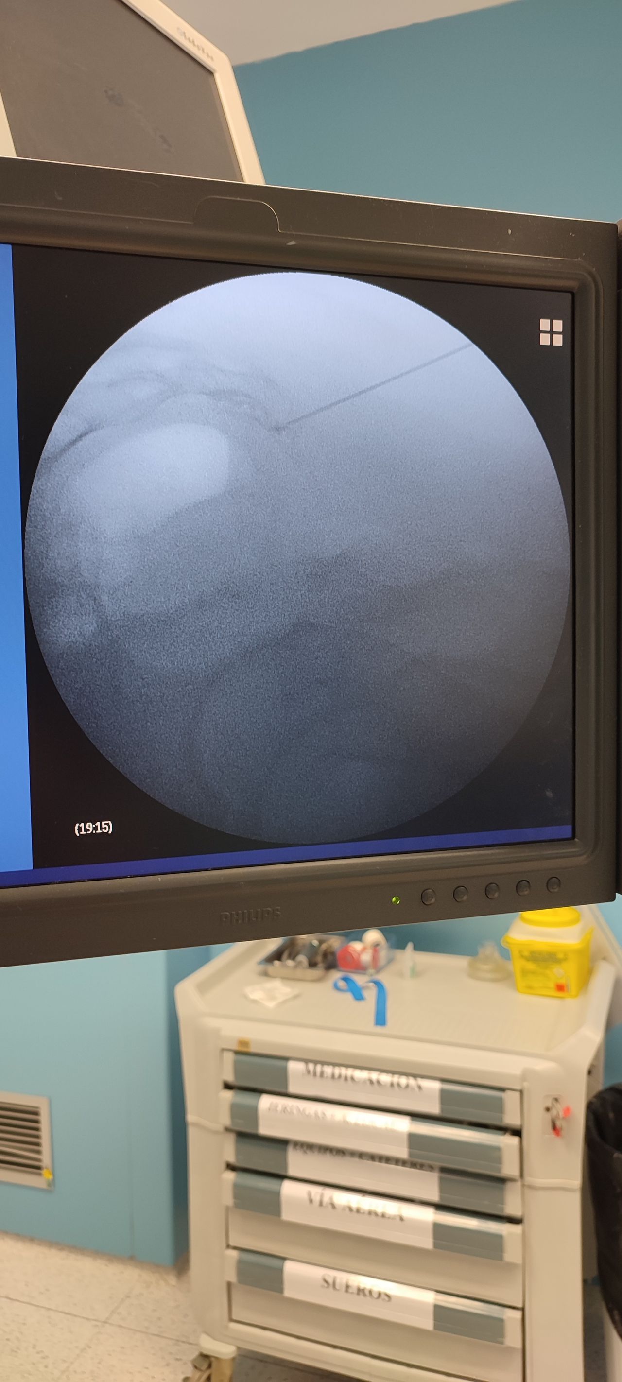 Jose Miguel López Ramos-8