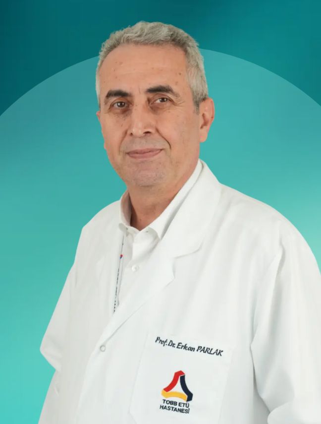 Erkan Parlak-1