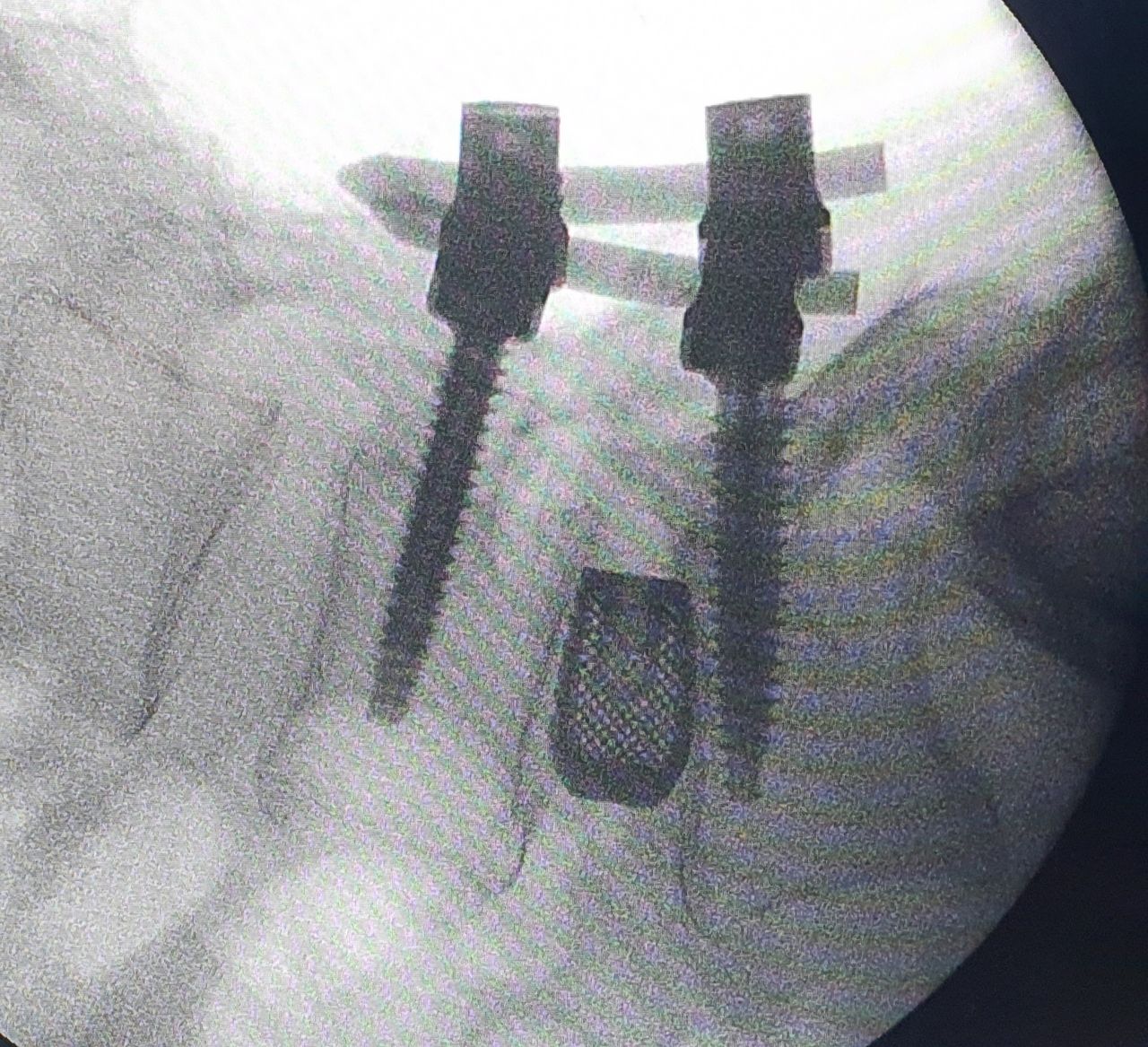 Alessandro Borderi-19