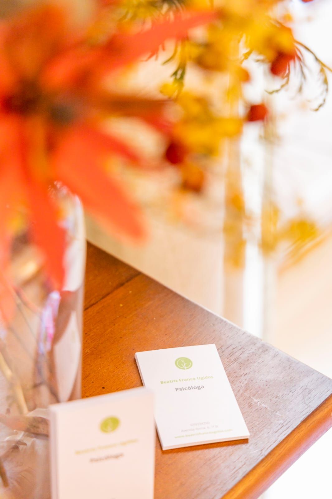 Beatriz Franco Ugidos-3