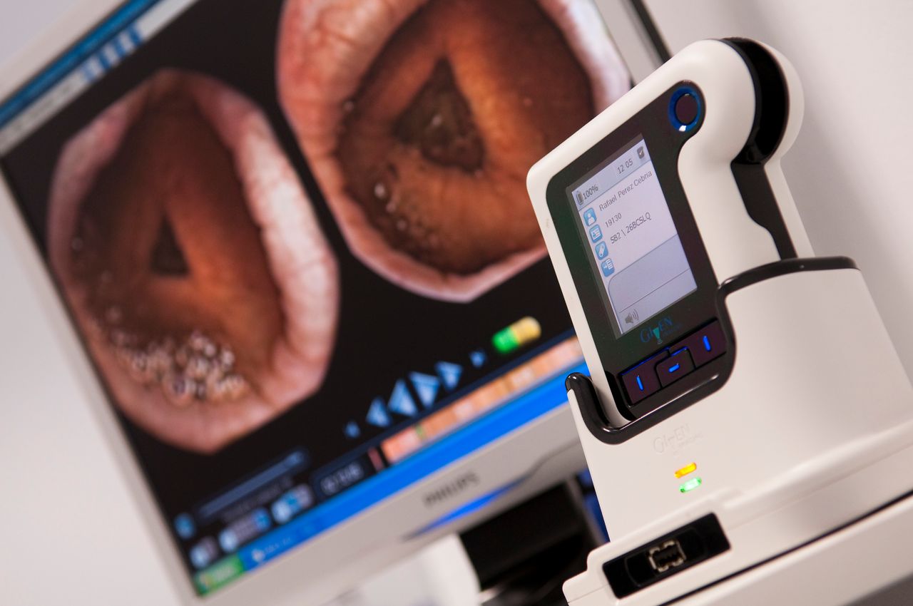 Ángeles Pizarro Moreno-1