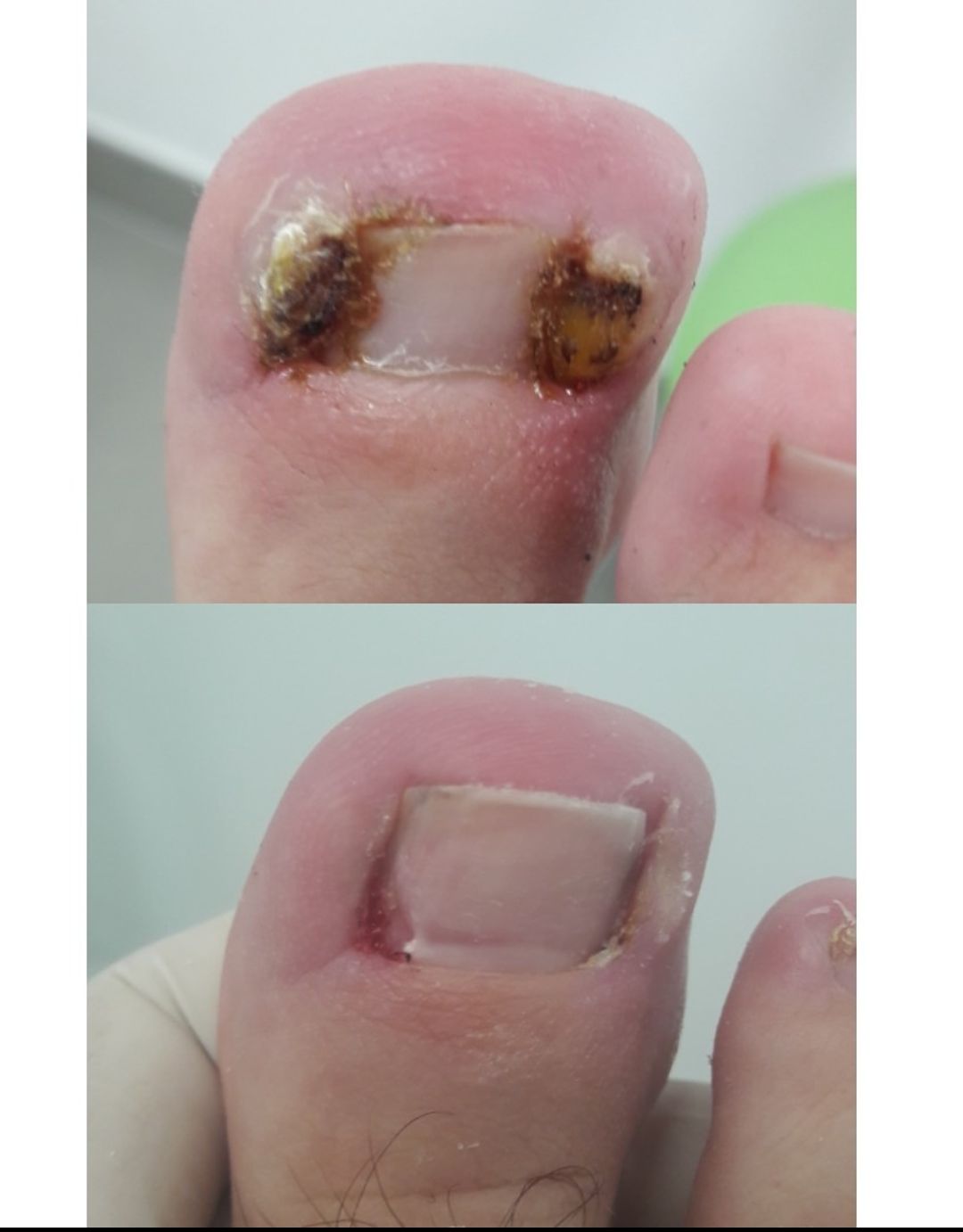 Laura Ortolá Esteve-7